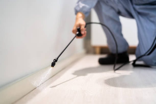 Licensed Rodent Control service in Cresaptown, MD - Nex Pest Control