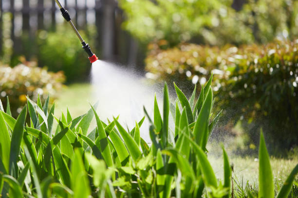 24/7 Emergency Rodent Control experts in Cresaptown, MD