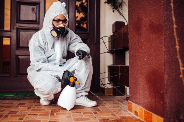 Reliable Rodent Control contractor in Cresaptown, MD by Nex Pest Control