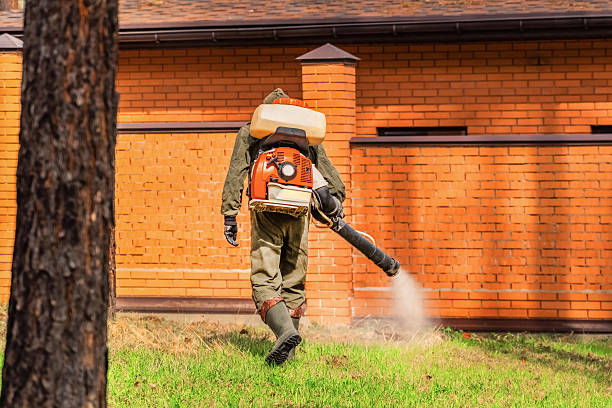 Trusted Rodent Control service in Cresaptown, MD - Nex Pest Control